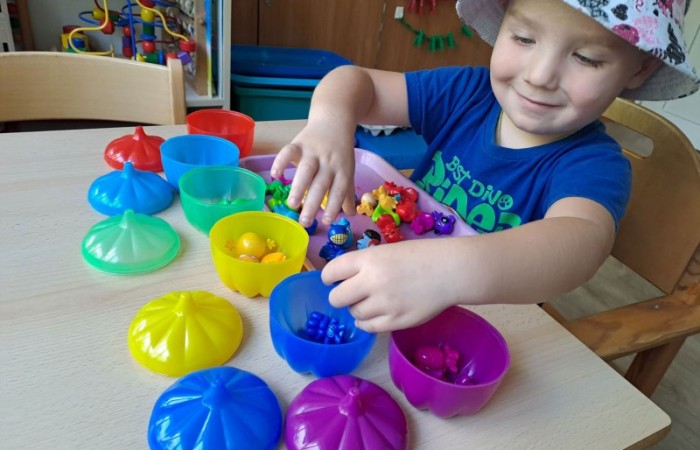 montessori8